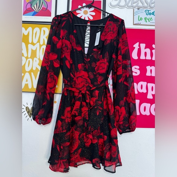 City Triangles Black & Red Rose Dress – New with Tags! - Picture 1 of 3